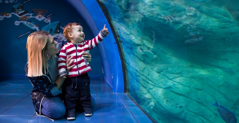 Woman holding her toddler pointing to a tank of fish in National Marine Aquarium